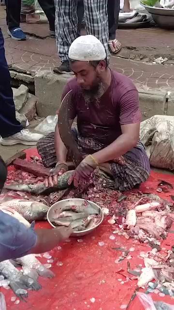 Hilsa Fish Cutting Skills live in Fish Market Dhaka