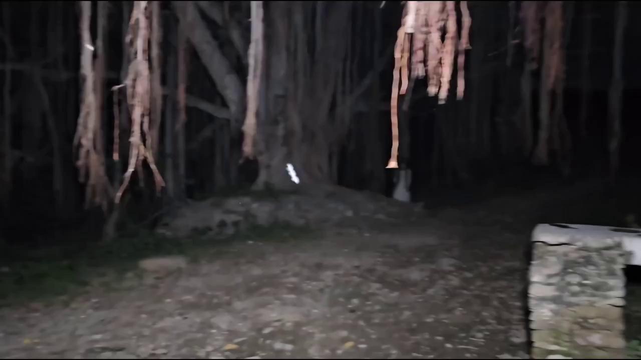 Most Haunted Tree In Jodhpur Osian - भूतों की दुनिया में आपका स्वागत है | Welcome To The Ghost World