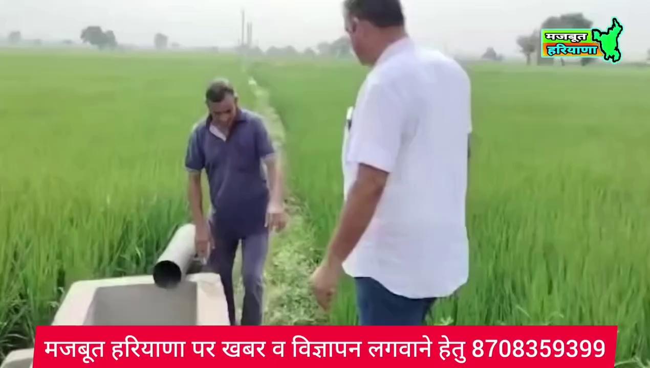 कैथल के हजवाना खेतों में किसान ने देखा चित्ता // आसपास के गांव के लोगों कि लगी भीड़ ! अधिकारी बोले
हजवाना गांव खबर #ttending #मजबुत_हरियाणा #HAJWANA News