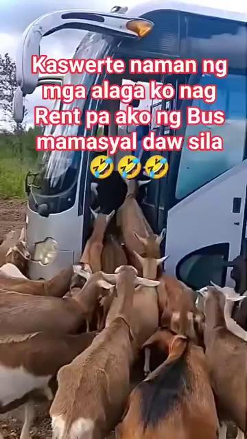 Dami nila kasya kaya dito
#fbreelsfypシ゚viralシ #forcontentpurposesonly #thankyouforyoursupport #funnymemes followers highlight