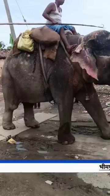 भीमपुर पश्चिम टोला दोनों गांव कामहावीर अखाड़ा का वीडियो पूरा देखें हमारे पेज पर लाइक और शेयर करना ना भूले