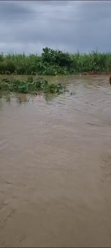 युगनन्दन मुखिया विराटनगर, मोरङ अबिरल बर्षाको कारण विराटनगर १२ मल्हनुवा का जनताको बेजोग प्रहरि प्रशासन द्वारा उध।र कार्य गरिदै।