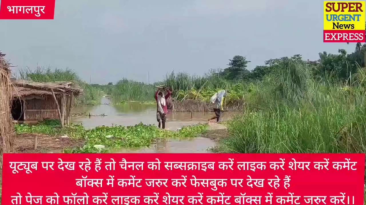 BHAGALPUR जिले के प्रमुख खबर भागलपुर से 11/08/2024।।(super urgent news express)
यूट्यूब पर देख रहे हैं तो चैनल को सब्सक्राइब करें लाइक करें शेयर करें कमेंट बॉक्स में कमेंट जरुर करें फेसबुक पर देख रहे हैं तो पेज को फॉलो करें लाइक करें शेयर करें कमेंट बॉक्स में कमेंट जरुर करें।।
#bhagalpur #super urgent news express