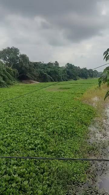 AHIYAPUR Begusarai Bihar Location