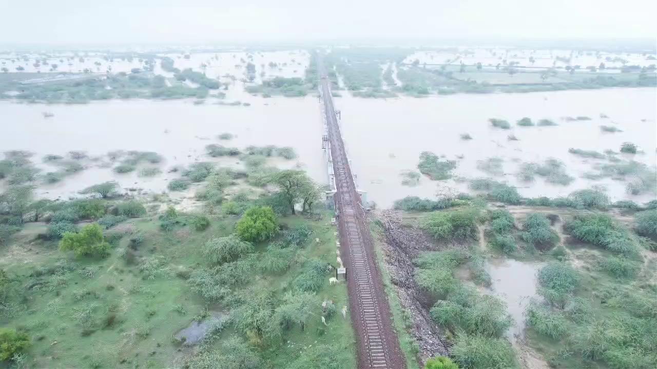 राजस्थान के रेगिस्तान धोंरे हुए पानी से जलमग्न, ये वीडियो पाली-जोधपुर रेल लाइन का है, जहाँ एक रेलगाड़ी पटरीयों के दोनों और फैले पानी के बिच गुजर रही है