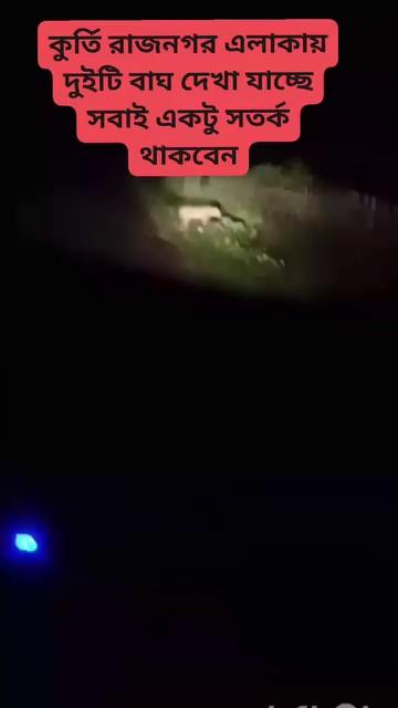 In the Kurti Rajnagar area, around midnight, two tigers have been spotted; everyone is advised to exercise caution and ensure the safety of children.