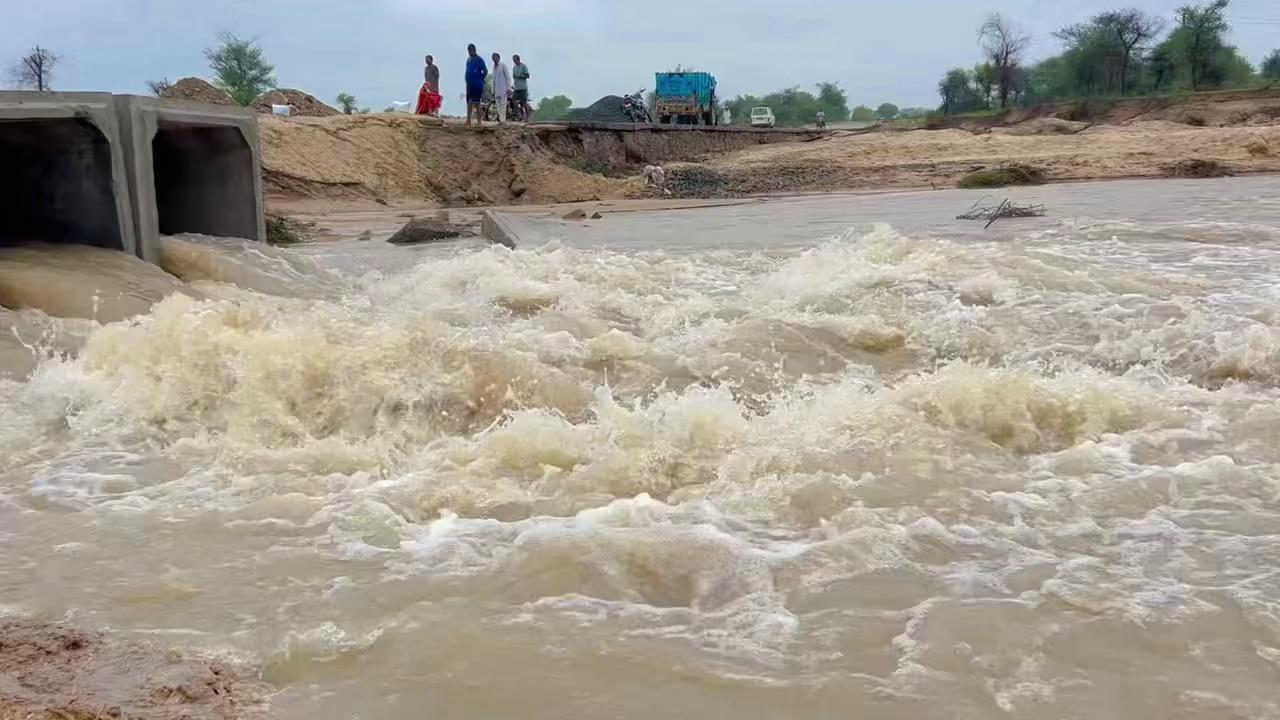 लूनी नदी से इतनी तबाही
पहली बार देखी। बारिश होने से नदी का जल स्तर बढ़ सकता है। लूनी नदी