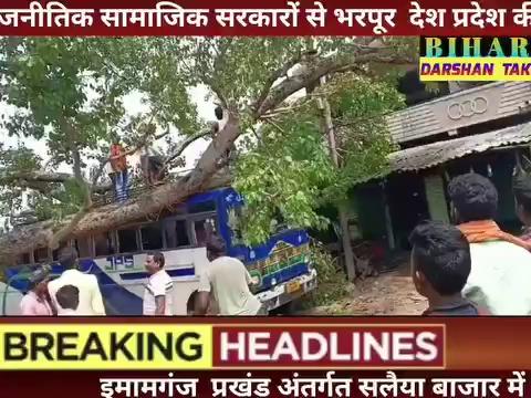 मैग्रा से डालटेंगाज जाने वाली बस के ऊपर विशाल पेड़ गिरने से बाल बाल बचे यात्री ! बस पूरी तरह से हुई क्षतिग्रस्त