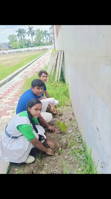 #plantation by the students of Siddharth Public School , Naugarh Siddharth Nagar