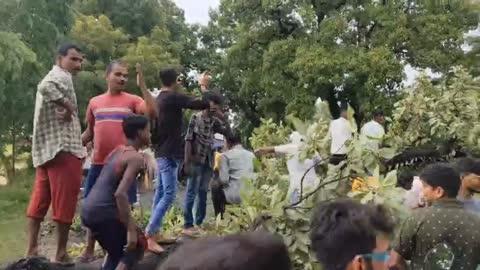 आरा सासाराम रोड पर आंधी में गिर गया पेड़।
जिससे यातायात करने वाले लोगो की हुई समस्या!
लेकिन सुखद है की किसी को कोई दुघर्टना नही हुईं  सिर्फ कुछ देर के लिए जाम लग गया जिसे गांव के लोगो ने मदद की जाम छुड़ाने में।