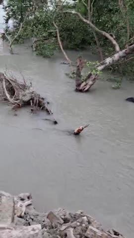 Bam Nahar tut gaya hai Raksha mein Pani Se Bahar a gaya hai Raksha Bangri