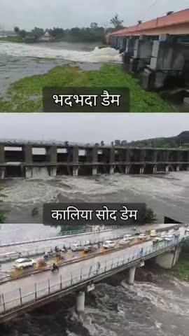 *राजधानी भोपाल में तेज बारिश के चलते खोले गए भदभदा डैम के गेट*
राजधानी भोपाल के भदभदा डैम के गेट आज के खोले गए वही आपको बता दें कि आज राजस्थानी भोपाल में महापौर श्रीमती मालती राय ने पूजा अर्चना करने के बाद गेट खोले गए साथ में नगर निगम कमिश्नर हरेंद्र नारायण भी मौजूद रहे वही आपको बता दें कि लगातार भारी बारिश के चलते आज सुबह कालिया सोद और तवा डेम के गेट भी खोले गए
वही आपको बता दें कि भोपाल की लाइफ लाइन बड़ा तालाब में पानी का लेवल 6:66 फीट तक पहुंच गया है यानी तालाब 80 सेंटीमीटर ही खाली है मौसम विभाग में शुक्रवार को सीहोर और भोपाल जिले में तेज बारिश होने कीजानकारी दी है भोपाल में अब तक करीब 27 इंच बारिश हो चुकी है जो सीजन की 71% है भोपाल में कुल सामान्य बारिश 37.6 इंच है