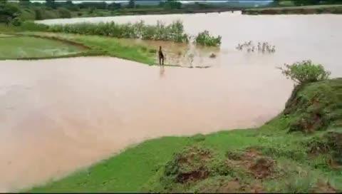 bhari barish ke karan sankh nadi ufan par hai