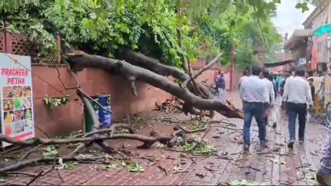 *आगरा ब्रेकिंग*
*बारिश के कारण ताजमहल के पास पेड़ हुआ धराशाई*
*पेड़ गिरने से रुक आवागवन*
*पेड़ की चपेट में आया एक पर्यटक जिसको भेजा गया उपचार के लिए हॉस्पिटल*
*पास में ही लगा एक पेड़ और गिरने की स्थिति में*