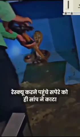 गोंदिया में रेस्क्यू के दौरान कोबरा ने सपेरे को काटा, अस्पताल में हुई मौत,
दरअसल, सांप के काटने के एक घंटे बाद सपेरा अस्पताल पहुंचा था, तब तक पूरे शरीर मे महाराष्ट्र के गोंदिया इलाके में एक कोबरा सांप के काटने से सपेरे की मौत हो गई. जहरीला कोबरा एक घर में घुस गया था, सपेरा उसका रेस्क्यू करने पहुंचा था. घटना का एक वीडियो भी सामने आया है, जिसमें सपेरे को कोबरा सांप काटता हुआ भी दिखाई दे रहा है.
अनदेखा करना पड़ा भारी
सपेरे सुनील को जब कोबरा सांप ने काटा तो उसके हाथ से ब्लीडिंग भी हुई, लेकिन उसने इसे अनदेखा कर दिया. जब उसे सांप ने काटा तो कुछ बच्चे वीडियो भी बना रहे थे. इसका वीडियो भी सोशल मीडिया पर खूब वायरल हो रहा है।