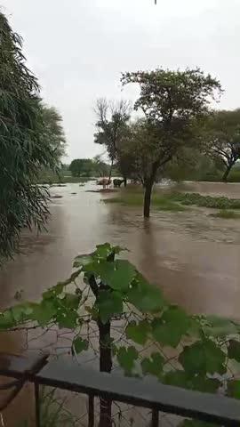 हाड़ौती क्षैत्र में हो रही भारी बारिश से नदी नाले उफान पर, आज गांव खेड़ी तहसील छीपाबड़ौद जिला बारां राजस्थान में हुई भारी बारिश से नदी नाले उफान आ गए।