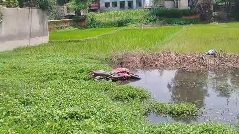 jhumari telaiya koderma doiyandi ka nioshi hi