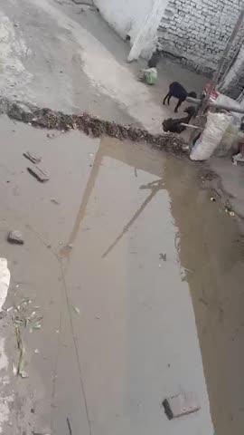 Gram.panchayat.Raj.barwa.semra.ghat.ka ..Ojha mathiya. ward. n.13 ka ye. najara hai.logo ko Nala bahwane.me dikkat ho rahi hai ki road pe hi nale ki pani baha de raha hai..lo logo ko ane jane me pahut dikkat ho rahi रहा है...