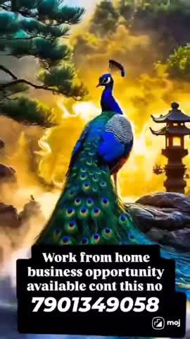 WORK FROM HOME OPPORTUNITY
Eligibility:- Inter, Degree & Above
! PART TIME:- Rs. 15,000/
! FULL TIME:- Rs.30,000/
Who can work / 18 years & above
• House wifes • Students
• Business man
• Professional
• Employees
• Retired persons
Only Telugu language people's available in this opportunity
Contact number : 7901349058  WORK FROM HOME OPPORTUNITY
Eligibility:-10th, Inter, Degree above
https://shuru.page.link/XhZnw3KWWgrZNqAe8
https://shuru.page.link/KhgcfKj4vPzFqfZCA
https://shuru.page.link/nMrnvG7bPAeNmz6q9
https://shuru.page.link/LH6EfJBQCLvEbgH1A
https://shuru.page.link/2UMZcjLMs2xPHoyc9