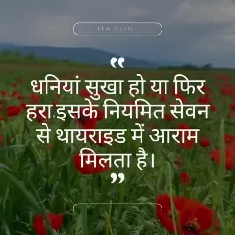 धनियां बहुत ही फायदेमंद है थायराइड के लिए।