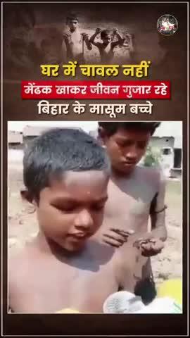 घर में चावल नहीं इसलिए मेंढक खाकर जीवन गुजार रहे बिहार के मासूम बच्चे