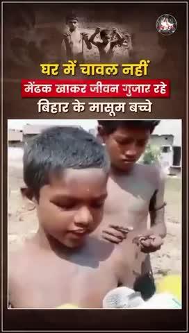 घर में चावल नहीं इसलिए मेंढक खाकर जीवन गुजार रहे बिहार के मासूम बच्चे #viral #trending #Bihar #PrashantKishor #JanSuraaj