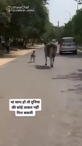 ज्याची आई आहे त्याचं जिवण स्वर्ग आहे 🙏🙏