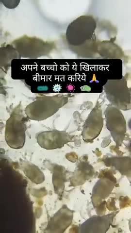 अपने बच्चो को ये खिलाकर बीमार मत करिये🙏
देखिए वीडियो।।