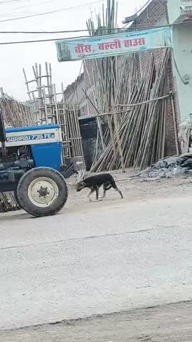 हमारे यहां बस बल्ली चेली नसेनी टटिया और सभी प्रकार का कबाड़ा उचित रेट पर खरीदा जाता है हमारा पता है सरकारी अस्पताल के सामने गल्ला मंडी छोटी बडोनी जिला दतिया मध्य प्रदेश