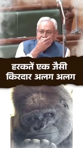 हरकतें एक जैसी किरदार अलग अलग
.
.
.
.
#bihar #nitishkumar‎ #meme‎ #funnyvideos #viralvideos‎ #BiharPolitics