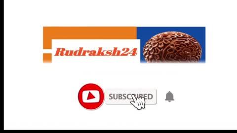 rudraksh24