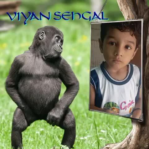 viyan sehgal of faridabad /swadesh Mandawari📲 8929878271