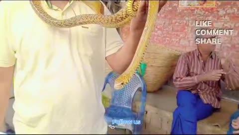 राजधानी एक्सप्रेस सांप विषहीन सांप.…. साहिबगंज (झारखंड)
Jitendra Hazari,Snake 🐍 Saver