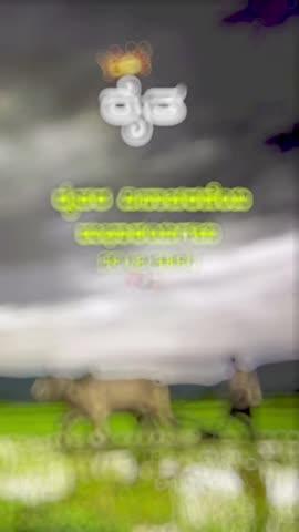 ನಾಡಿನ ಸಮಸ್ತ ರೈತ ಬಾಂಧವರಿಗೆ ರಾಷ್ಟ್ರೀಯ ರೈತರ ದಿನಾಚರಣೆ ಹಾರ್ದಿಕ ಶುಭಾಶಯಗಳು