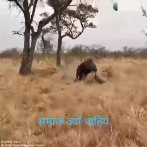 समाज क्यों चाहिए ??