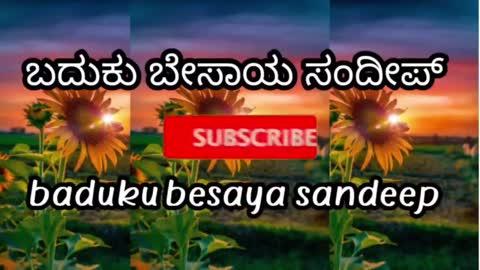 ಚಿತ್ರಹಳ್ಳಿ ಗೇಟ್ ಗುರುವಾರದ ಸಂತೆ ಚಿತ್ರದುರ್ಗ ಜಿಲ್ಲೆ, ಗುರುವಾರದ ಸಂತೆಯ ಸೊಪ್ಪಿನ ಬೆಲೆಗಳು | ಸೊಪ್ಪಿನ ಮಾರುಕಟ್ಟೆ
#soppu 
#vegetables 
#palak 
#menthe 
#badukubesayasandeep 
#chitrahalli 
#krushikannada 
#agriculturekannada 
#farminginkannada 
#krushi 
#agriculture
#vegetablefarming 
#soppuricipe 
#palakrecipe 
#menthesoppu 
#kottumbari