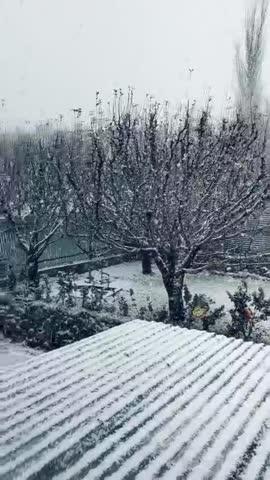 Finally it's snowing in Baramulla Kashmir, update your areas.