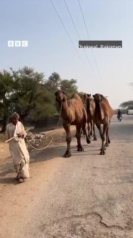 Dr.manmohan Singh village pakistan