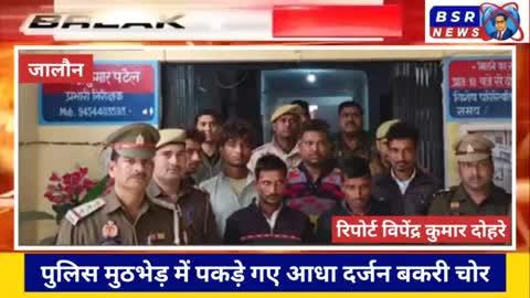 जालौन : पुलिस मुठभेड़ में पकड़े गए आधा दर्जन बकरी चोर जालौन पुलिस को लगी बड़ी सफलता हाथ