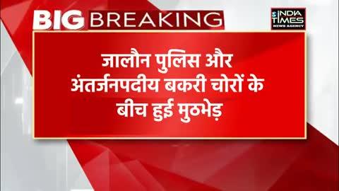 पुलिस और बकरी चोरों में मुठभेड़, जालौन जनपद में बकरी चोरों का था आतंक
देखे वीडियो खबर 
https://youtu.be/XvXt_Ape348?si=9w9iq2piH-hjsO0I