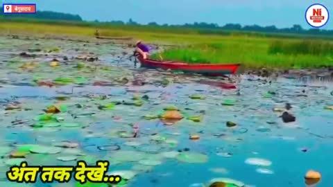 Kanvar Lake में नाव वाले ने New year पर गाया गाना,  हो गया रातों रात वायरल 🔥🔥!।😱😱
#viralboy #trending #kanvarlake #kanvarjheel #kawarjheel #jaimanglagadh #bihar #viralvideo #trendingvideo
इस वीडियो को Intertainment के लिए बनाया गया है !