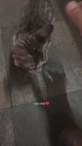 😻 💕💕