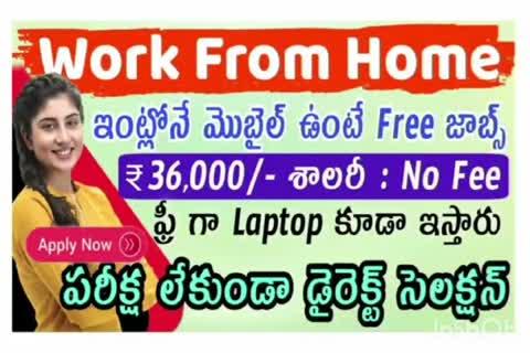 work from home jobs