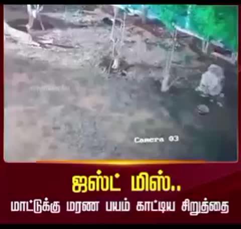 கோவை மேட்டுப்பாளையம்