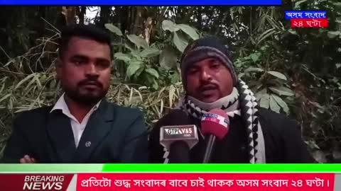 বনৰীয়া হাতী আৰু মানুহৰ সংঘাত সন্দৰ্ভত আদিবাসী ছাত্ৰ সন্থাৰ নেতা নাৰায়ণ সিং গোড়ৰ ক্ষোভ