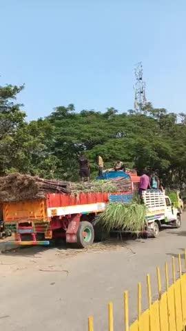 திருப்பத்தூர் மாவட்டம் ஆம்பூர் தாலுகா விண்ணமங்கலம் ஊராட்சி பகுதியில் (இன்று ஜனவரி 6)  விண்ணமங்கலம் தொடக்க வேளாண்மை கூட்டுறவு கடன் சங்கம் சார்பில் ஆம்பூர் சுற்று புற பகுதியில் உள்ள ரேசன் கடைகள் முலம் தமிழக அரசு பொங்கல் பொருட்கள் வழங்கும் பொருட்களின் ஒன்றான கரும்பு இன்று காலை பண்ருட்டி  மாவட்டத்தில் இருந்து ஆம்பூர் தொகுதிக்கு லாரி மூலம் இன்று காலை கரும்பு வந்தது.