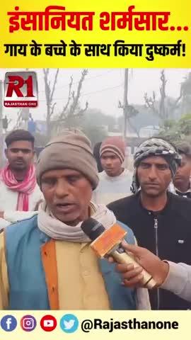 गाय के बच्चे के साथ किया दुष्कर्म