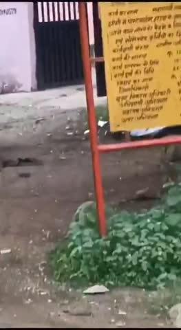 उत्तर प्रदेश : झांसी में पोस्टमार्टम हाउस के बाहर का ये Video वायरल है। 2 युवक एक डेडबॉडी को घसीटते हुए ले जा रहे हैं। पुलिस जांच कर रही है कि Video कब–कहां का है। एक व्यक्ति श्याम सुंदर शर्मा बताया जा रहा, जिस पर लाश की बेकद्री में पहले भी FIR हुई है।
⚠️ Disturbing Visual ⚠️