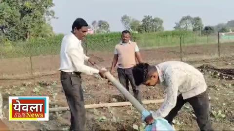 घोणस जातीच्या अतिविषारी सर्पास सर्पमित्र कडून रेस्क्यू व जीवदान.