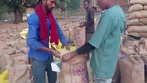 डिंडोरी जिले के समनापुर ब्लाक अंतर्गत ग्राम पंचायत चांदरानी धान उपार्जन गल्ला मंडी चांदरानी अमरिया टोला में सेल्समेन धान उपार्जन प्रभारी ने बताया कि प्रति बोरा में 40 किलो 600 ग्राम प्रति बोरा में भर्ती लिया जा रहा है एवज में आपको बता दें कि 39 किलो की पर्ची काटा जा रहा है इसमें  आप भी जान सकते हैं कि एक किलो 600 ग्राम के खेल में कितना  पारंगत हैं केंद्र प्रभारी